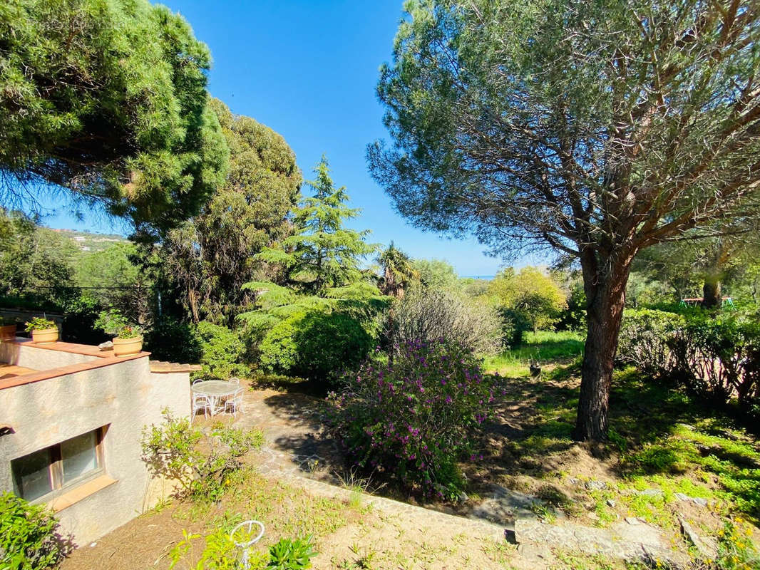 Maison à GRIMAUD