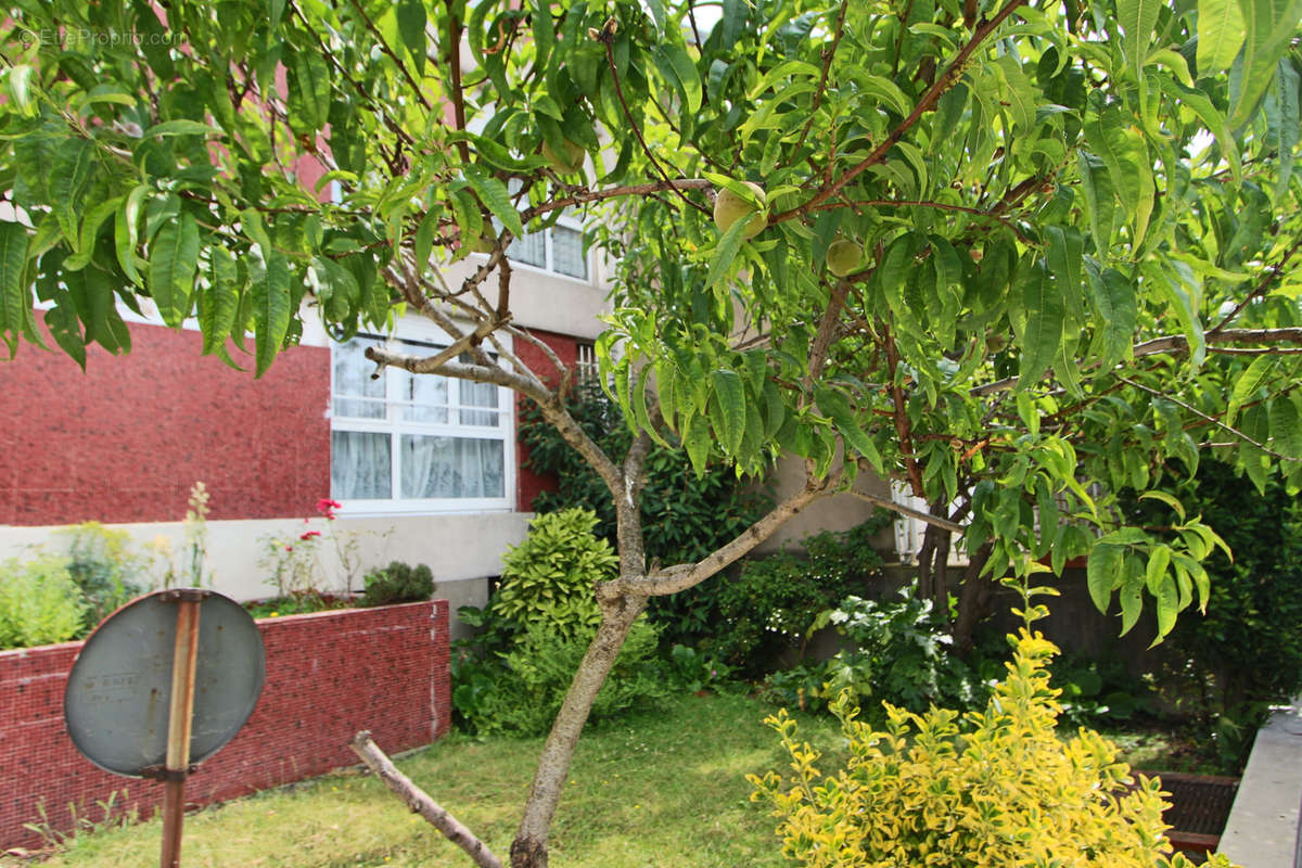 Appartement à MONTREUIL