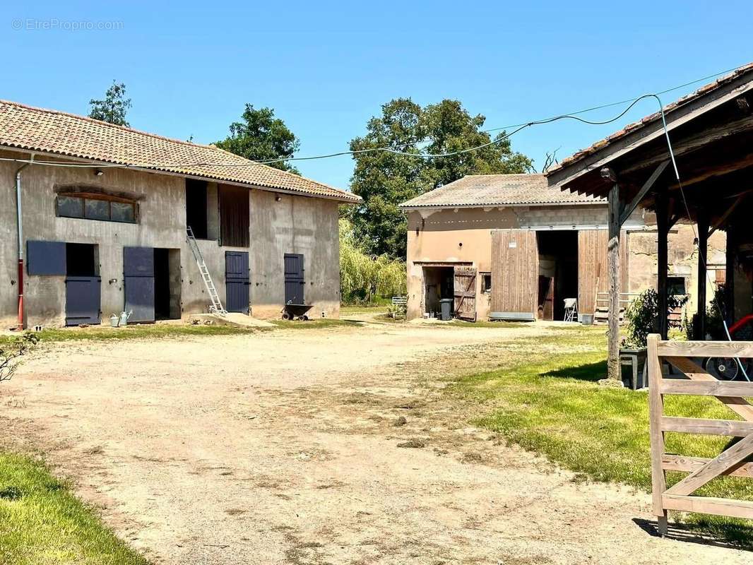 Photo 7 - Maison à CHATILLON-SUR-CHALARONNE