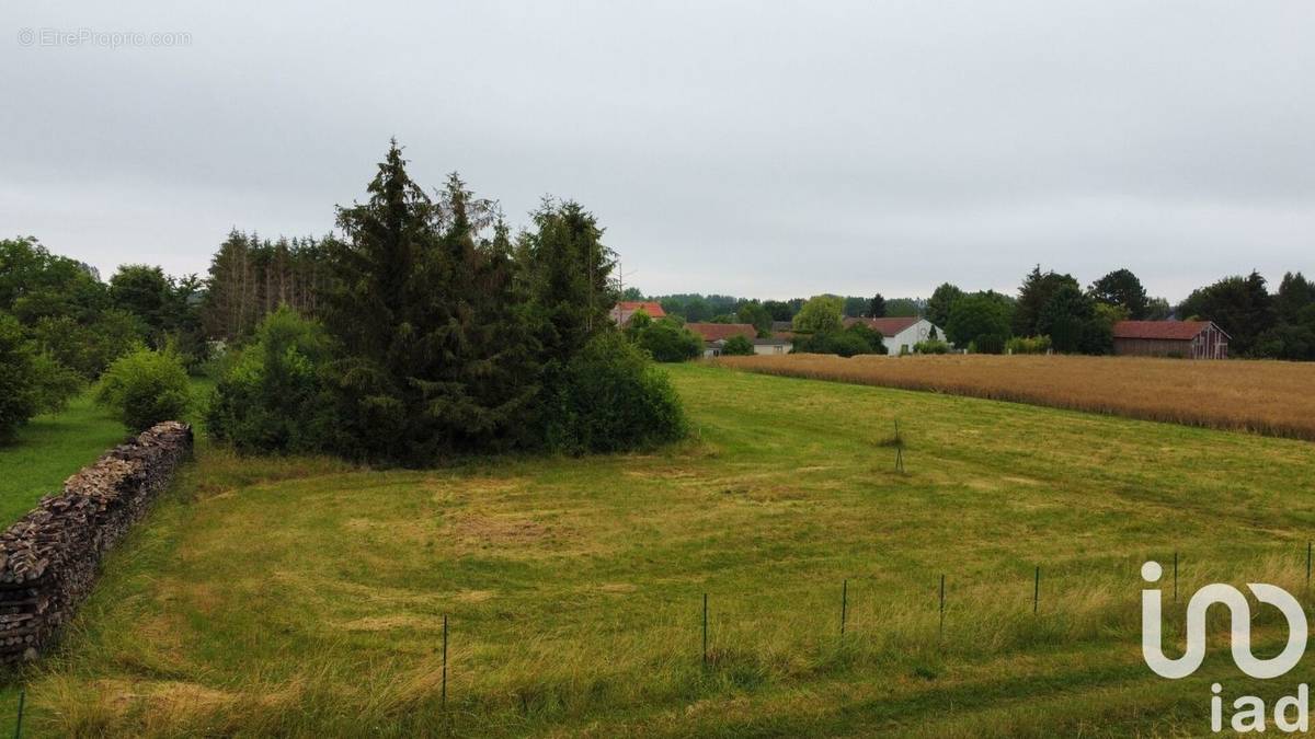 Photo 1 - Terrain à MAIZIERES-LA-GRANDE-PAROISSE