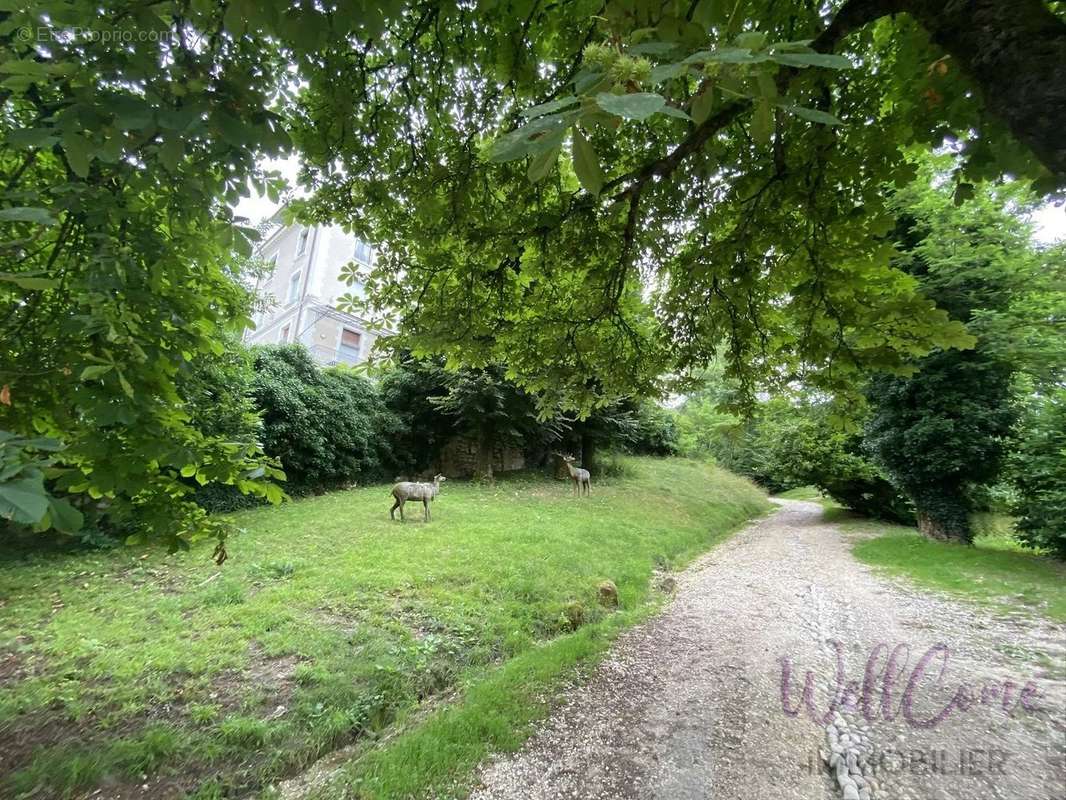 Appartement à AIX-LES-BAINS