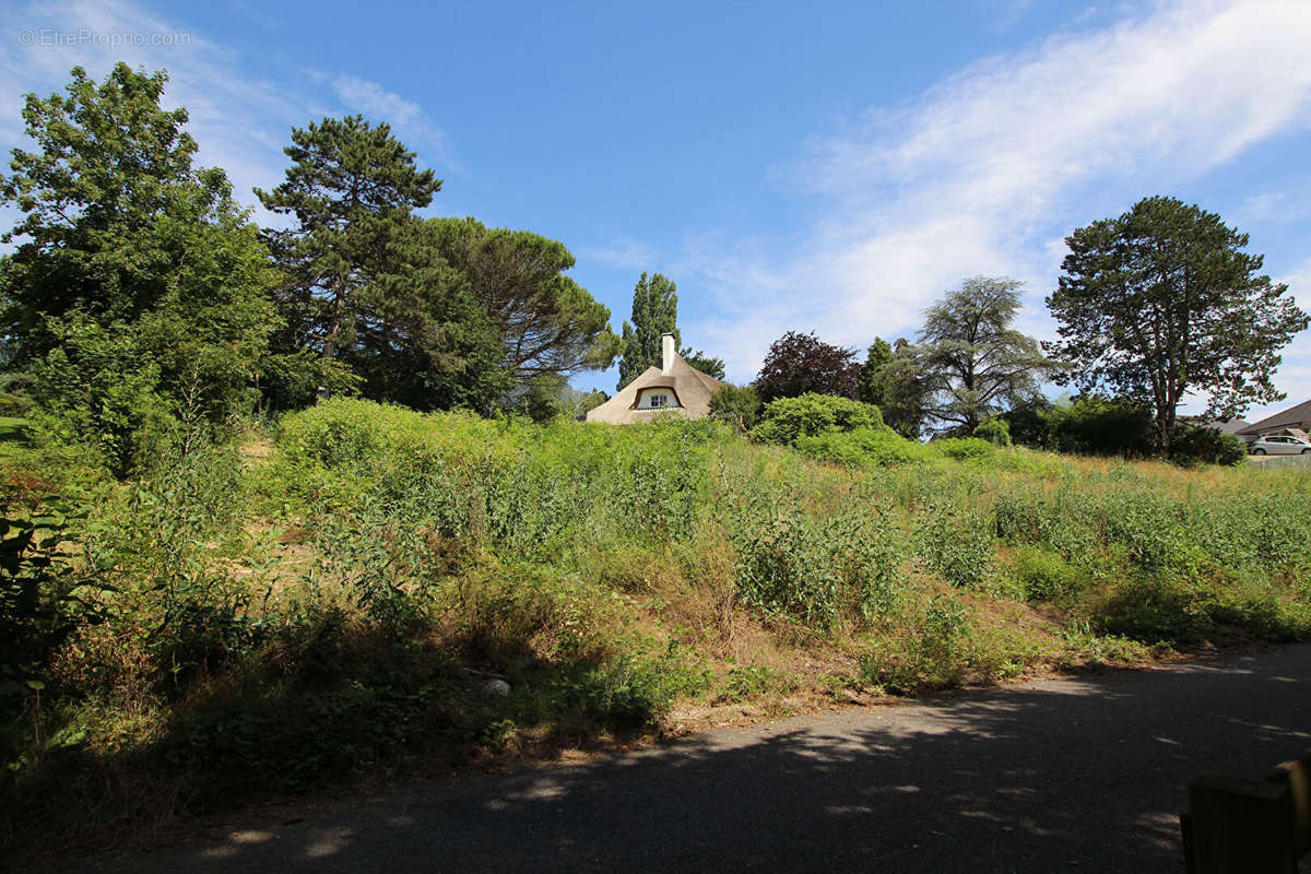 Terrain à SONNAZ