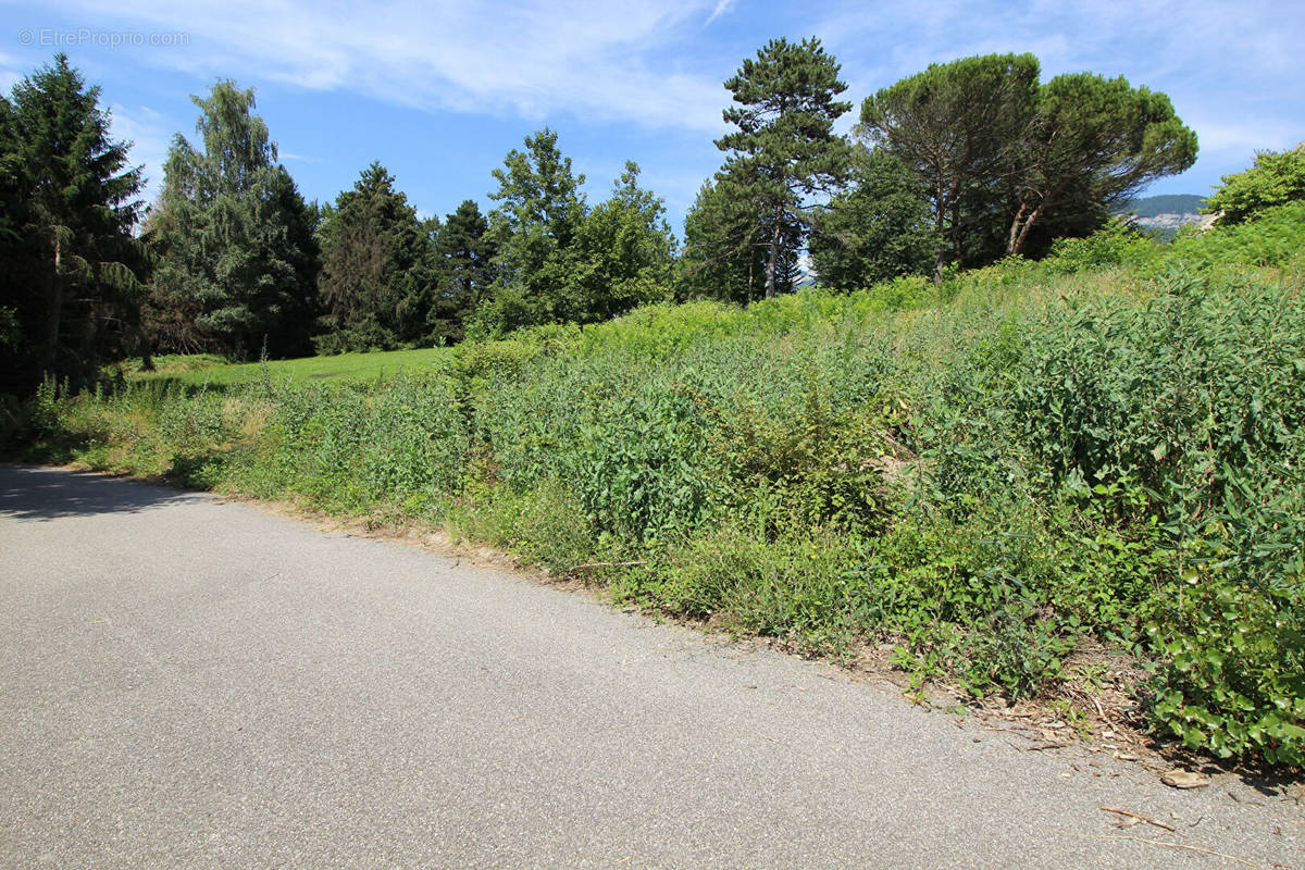 Terrain à SONNAZ