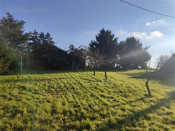 15. jardin - Maison à CHEF-BOUTONNE