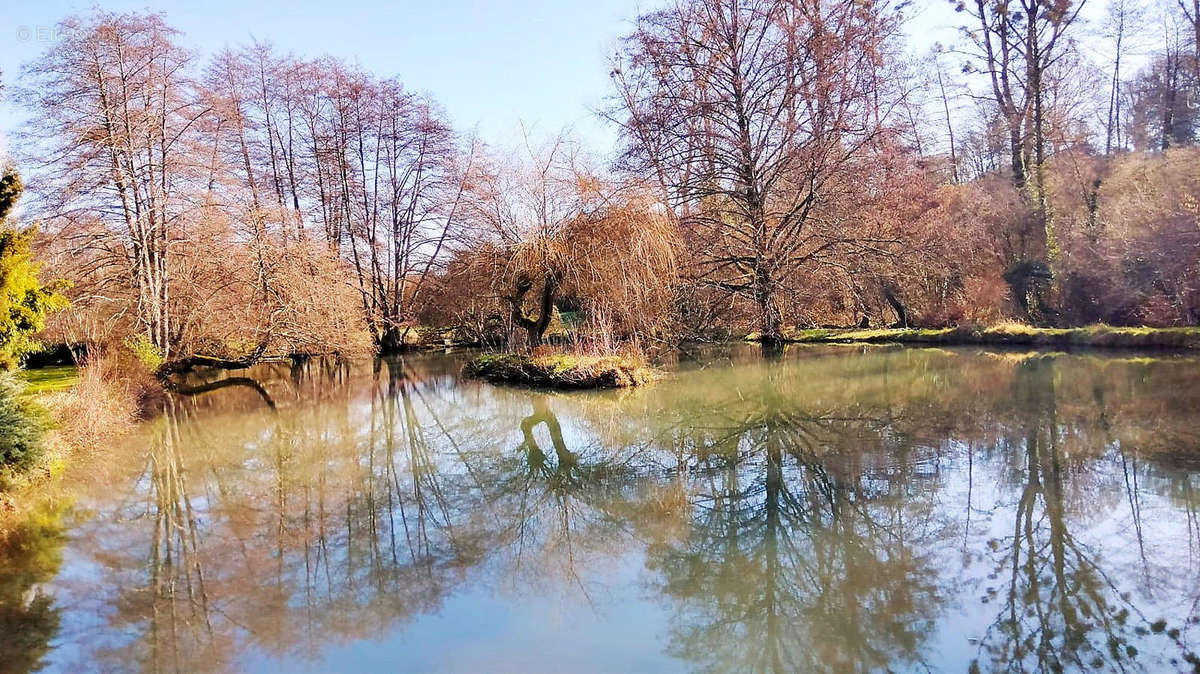 ETANG - Maison à CHAMPAGNE-MOUTON