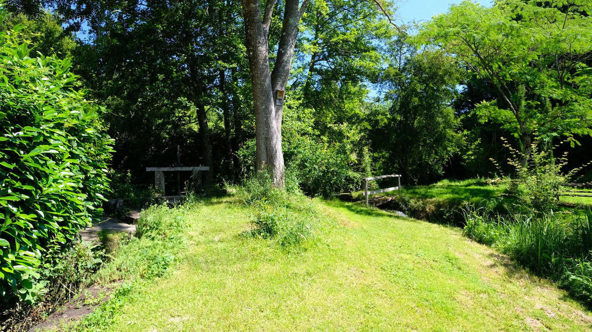 jardin - Maison à CHAMPAGNE-MOUTON