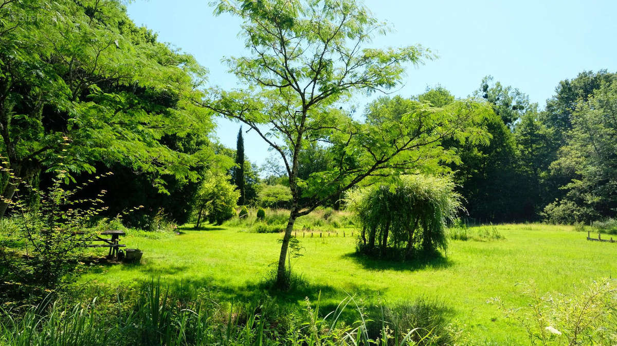 jardin - Maison à CHAMPAGNE-MOUTON