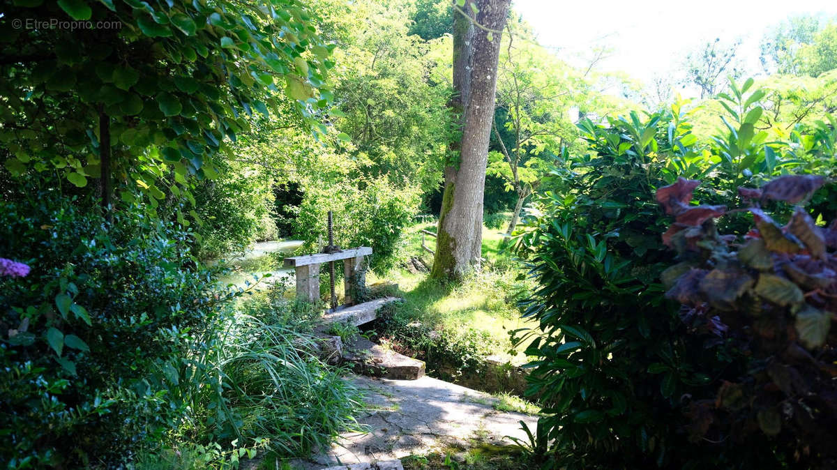 jardin - Maison à CHAMPAGNE-MOUTON