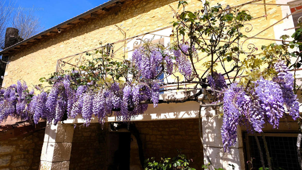 terrace - Maison à CHAMPAGNE-MOUTON