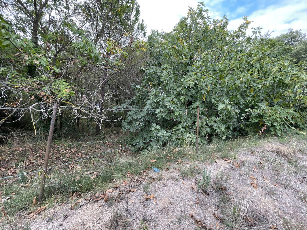 Terrain à LA ROQUETTE-SUR-SIAGNE