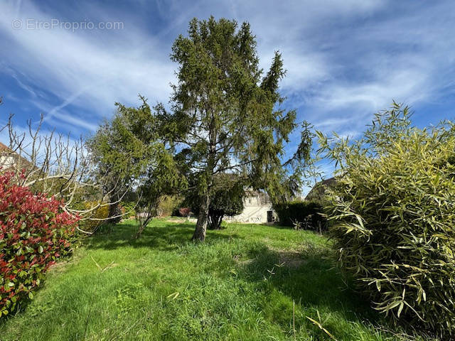 Terrain à VILLENNES-SUR-SEINE