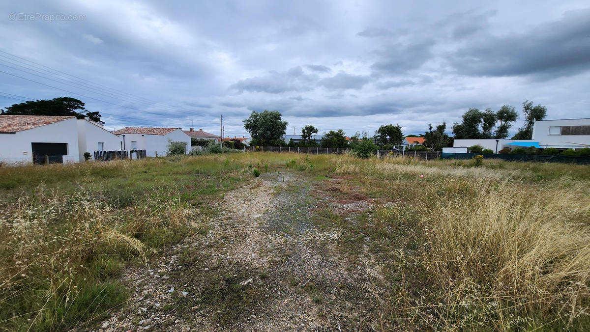 Terrain à SAINT-HILAIRE-DE-RIEZ