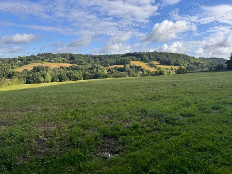 Terrain à PONT-DU-CASSE