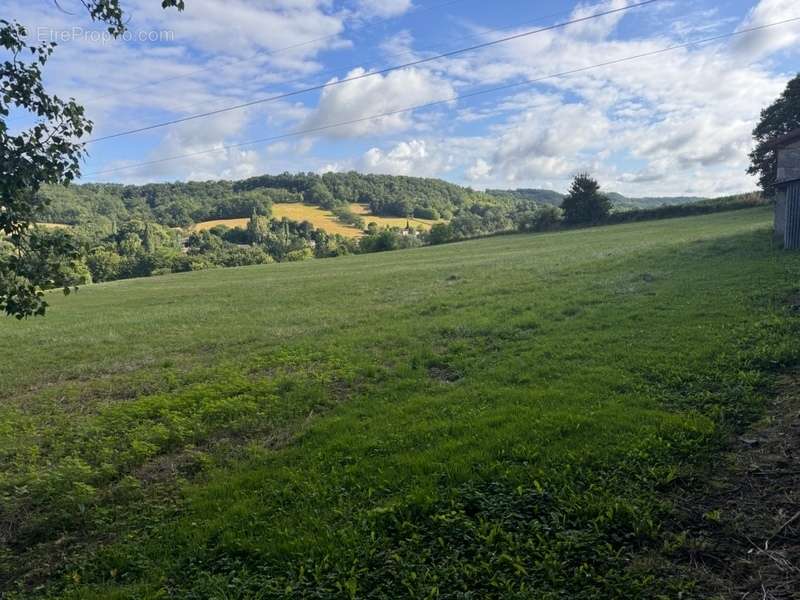 Terrain à PONT-DU-CASSE