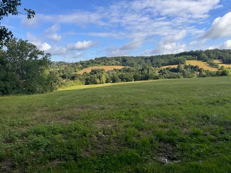 Terrain à PONT-DU-CASSE