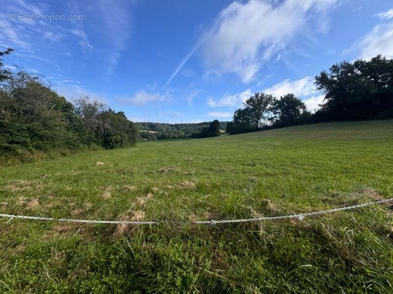 Terrain à PONT-DU-CASSE