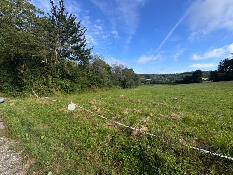 Terrain à PONT-DU-CASSE