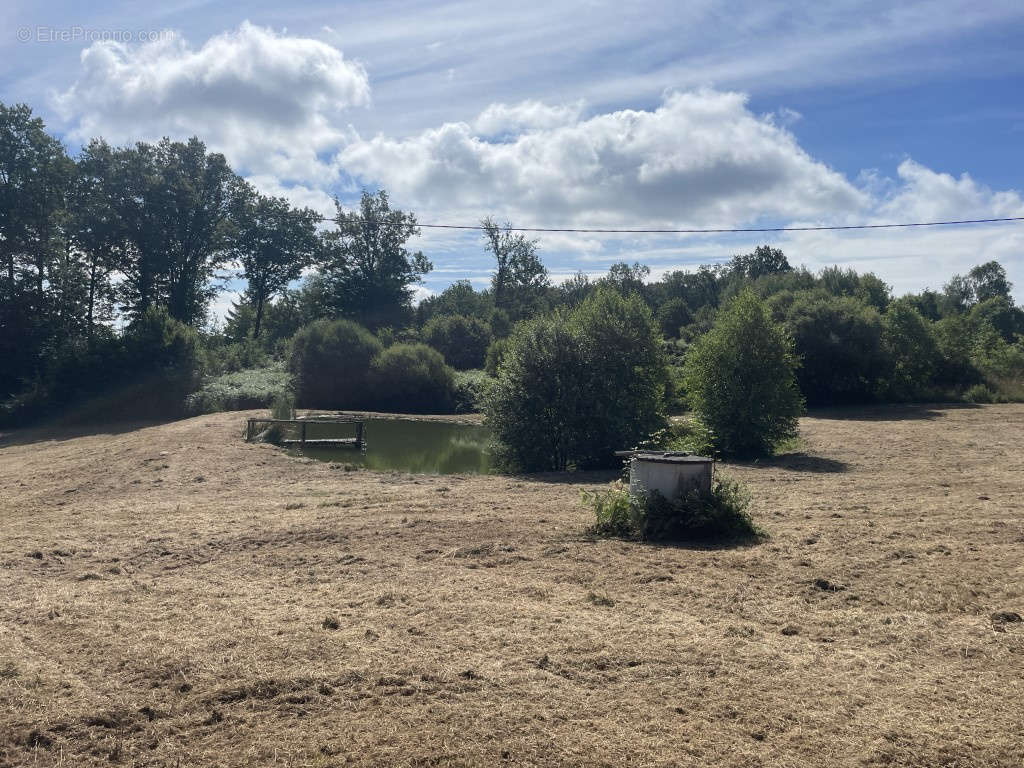 Terrain à SEGUR-LE-CHATEAU