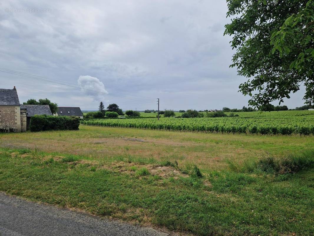 Photo 1 - Terrain à CHOUZE-SUR-LOIRE