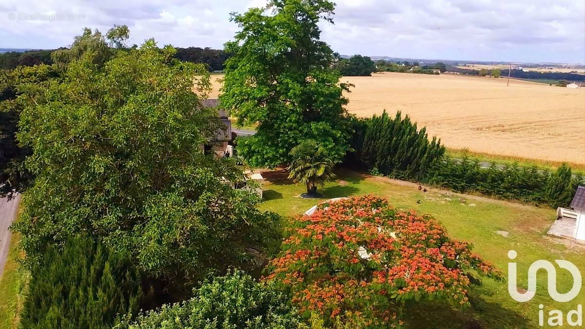 Photo 1 - Maison à LENCLOITRE