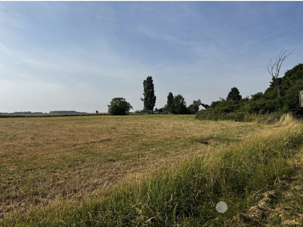 Terrain à VIREY-LE-GRAND