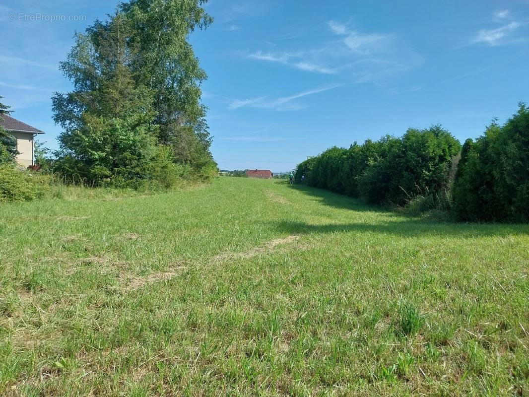 Terrain à ROHRBACH-LES-BITCHE