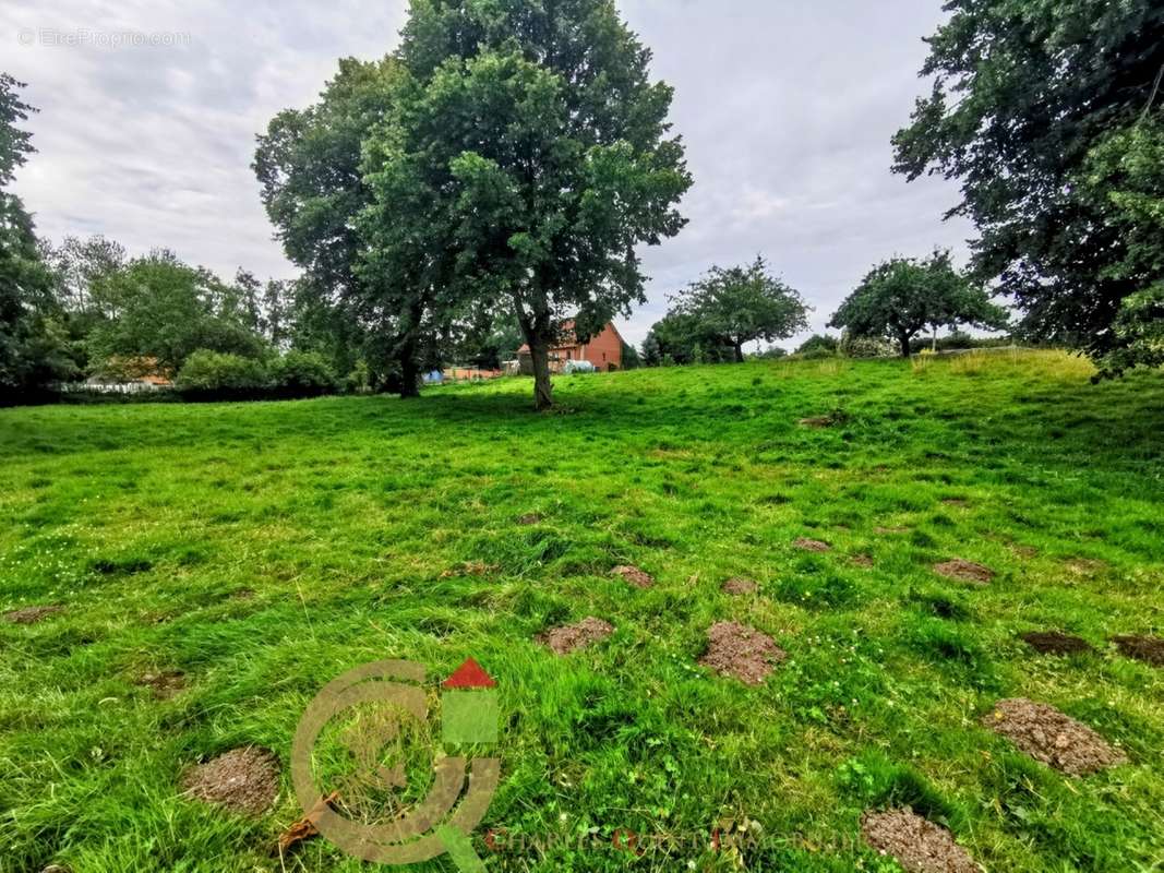 Terrain à MONCHY-CAYEUX