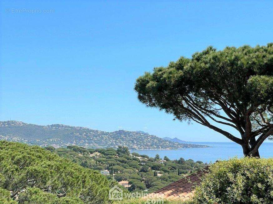 Vue mer de la chambre - Maison à SAINTE-MAXIME