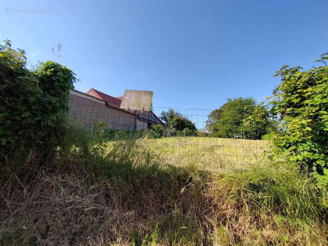 Terrain à BUIGNY-L&#039;ABBE