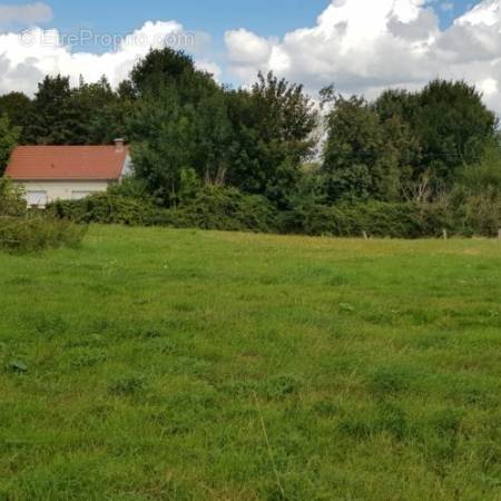 Terrain à SAINT-VALERY-SUR-SOMME