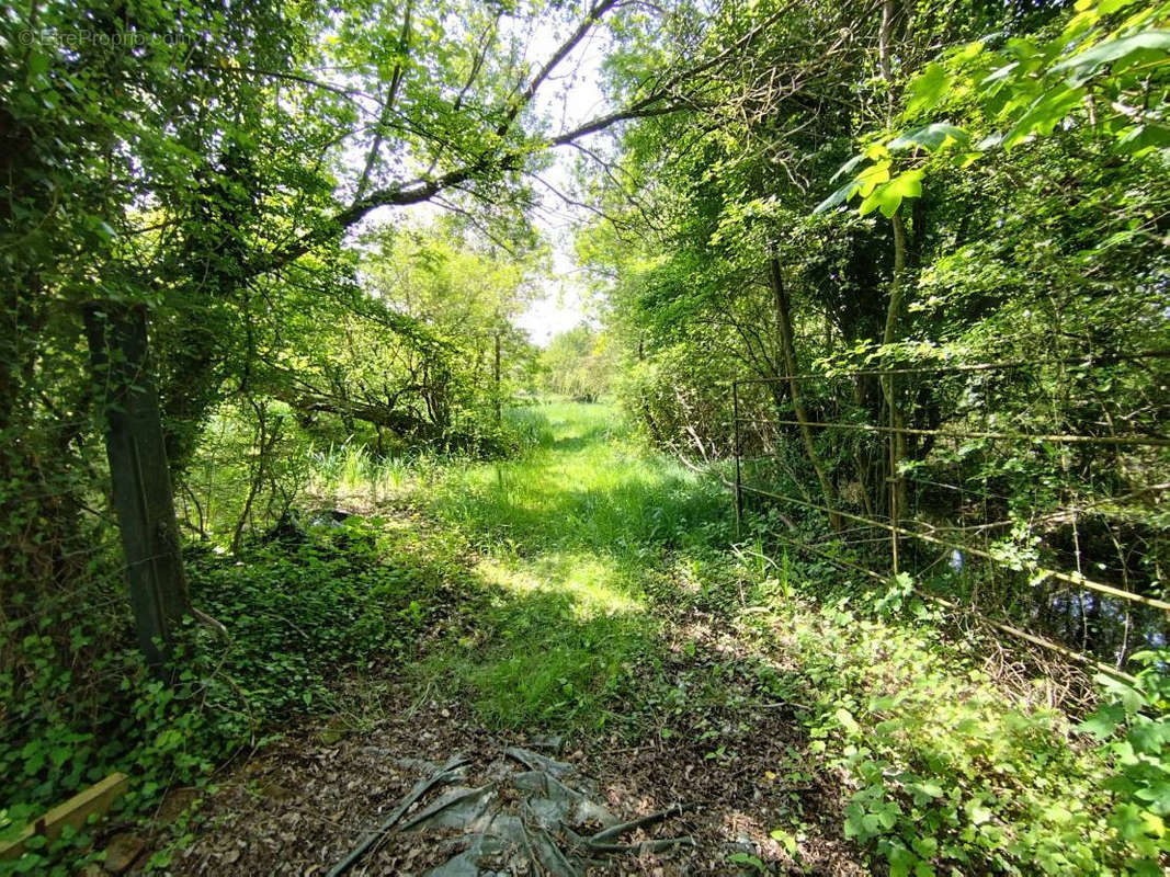 Terrain à CAMBRON