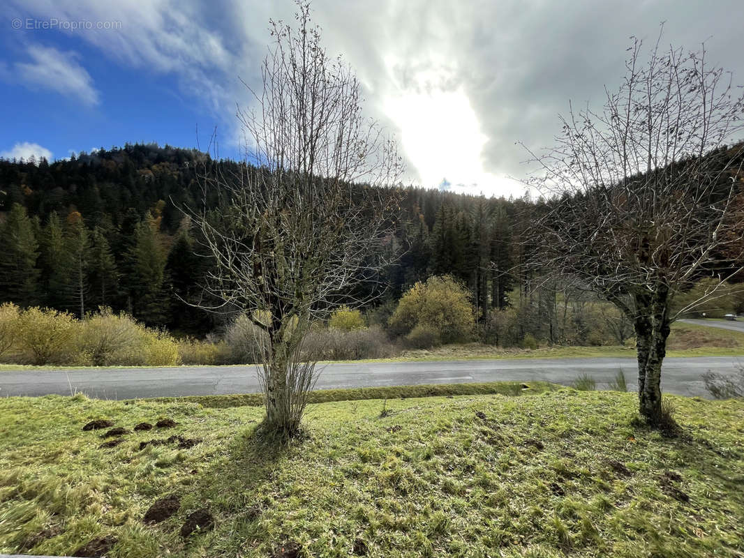 Appartement à LAVEISSIERE