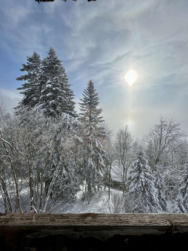 Appartement à LAVEISSIERE