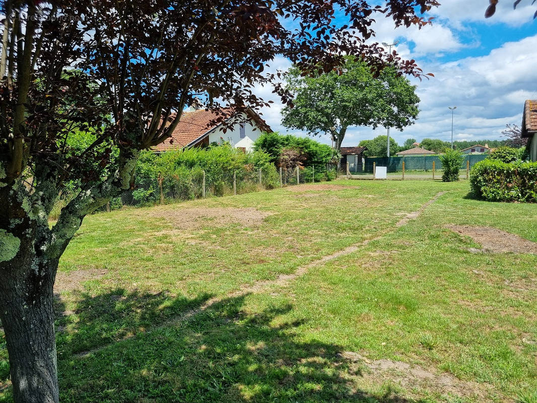 Terrain à SAINT-JULIEN-EN-BORN