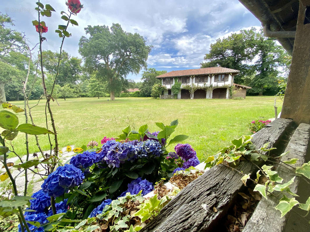 Maison à LEVIGNACQ