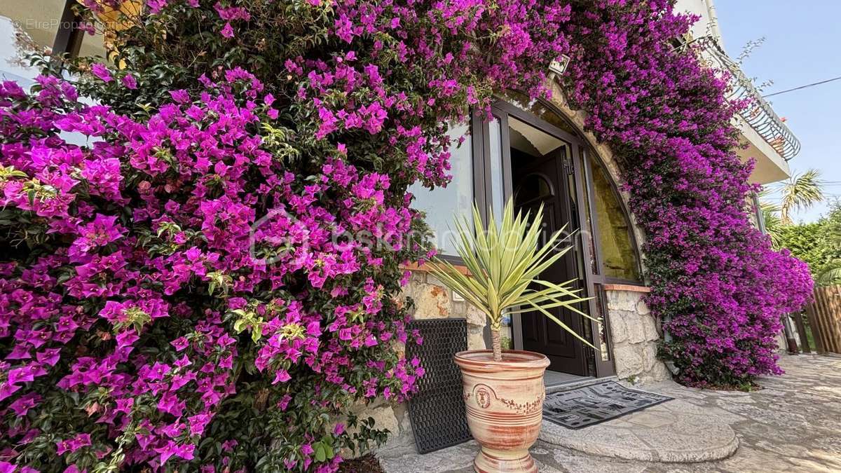 Appartement à VENCE