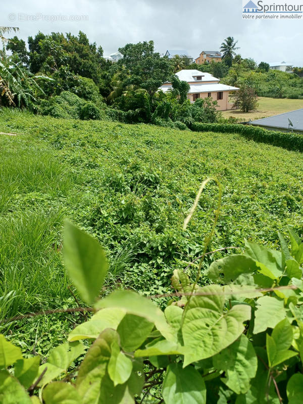 Terrain à PETIT-BOURG