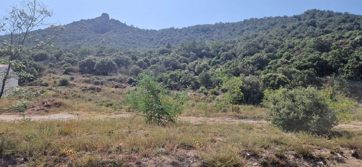 Terrain à MONTALBA-LE-CHATEAU