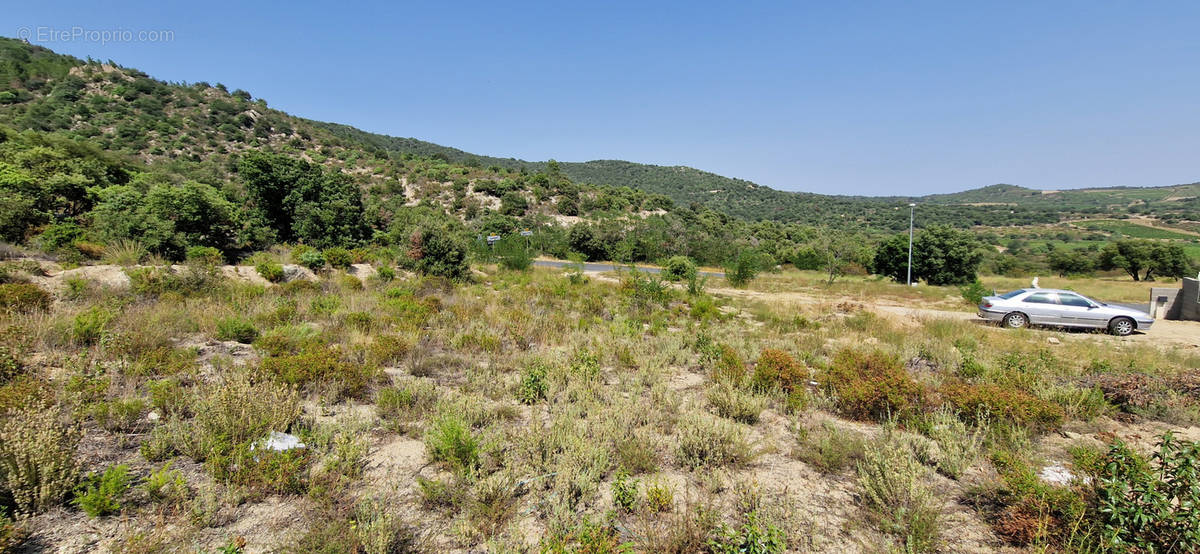 Terrain à MONTALBA-LE-CHATEAU