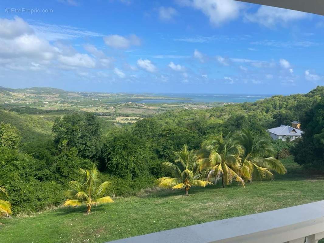 jardin avec vue - Maison à LE MARIN