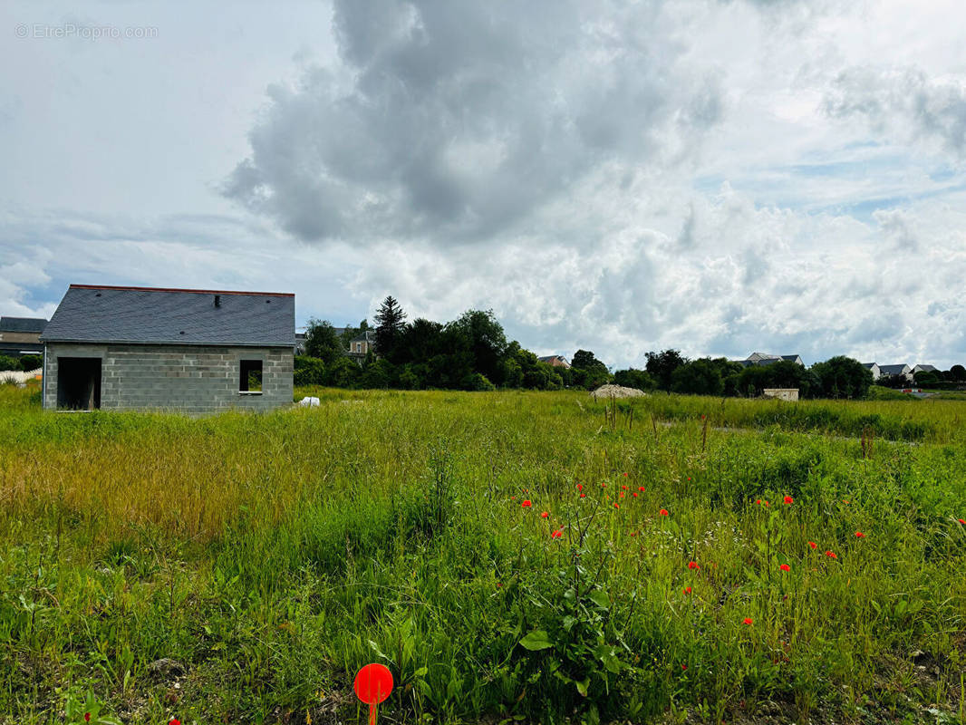 Terrain à CHANCEAUX-SUR-CHOISILLE