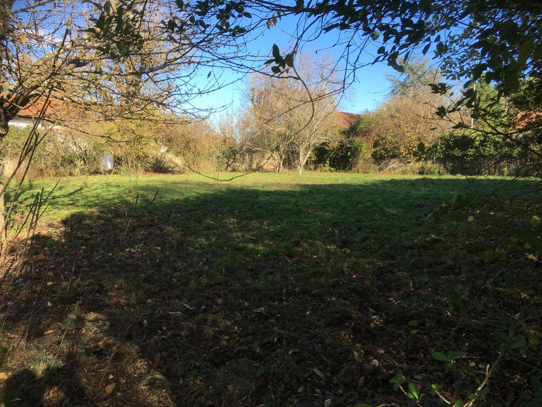 Terrain à NEUVILLE-LES-DAMES