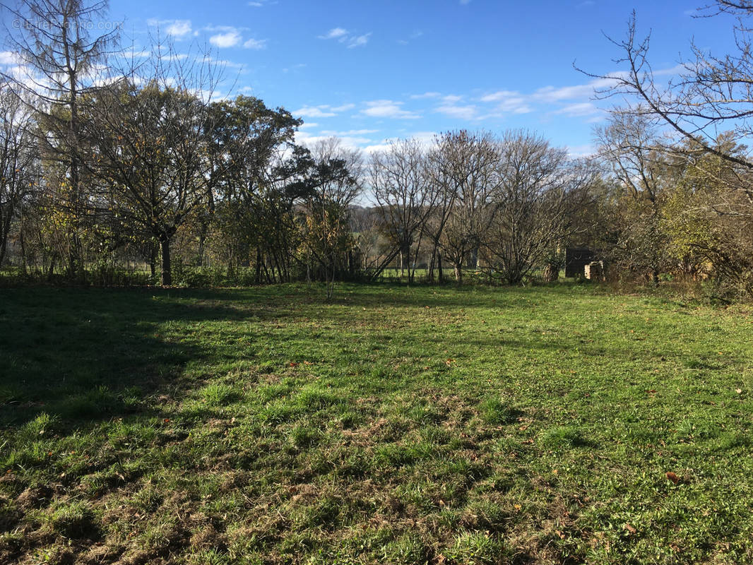 Terrain à NEUVILLE-LES-DAMES