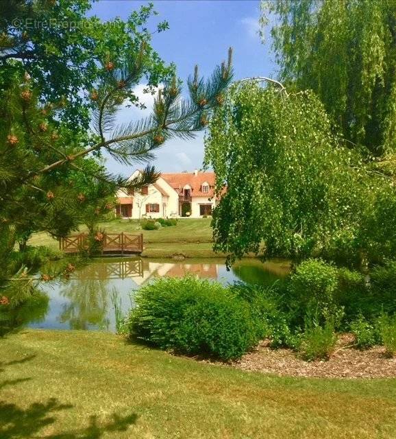 Appartement à NIBELLE