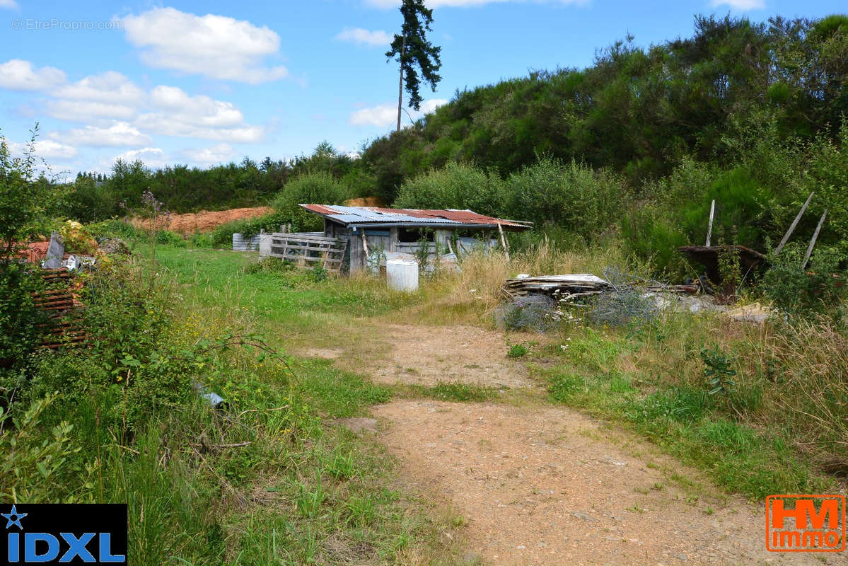 Terrain à NEUVIC-ENTIER