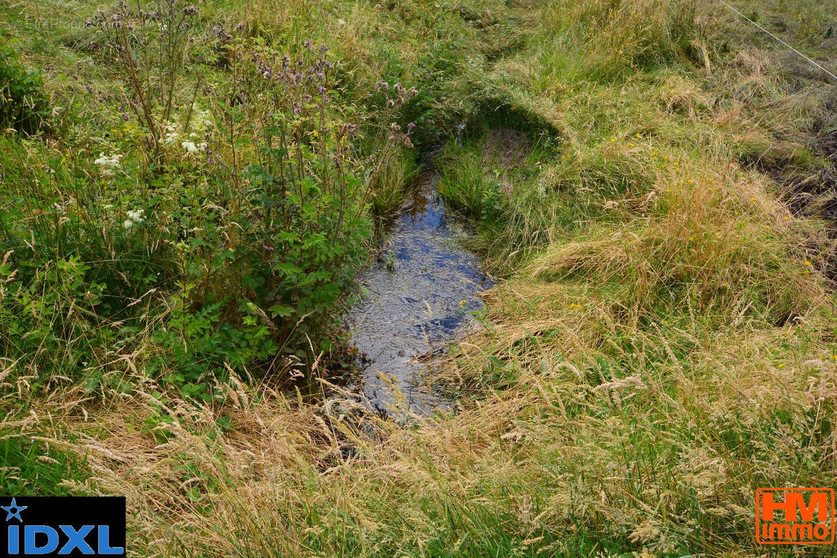 Terrain à NEUVIC-ENTIER