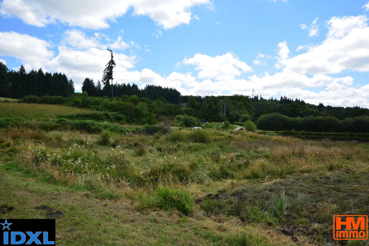 Terrain à NEUVIC-ENTIER