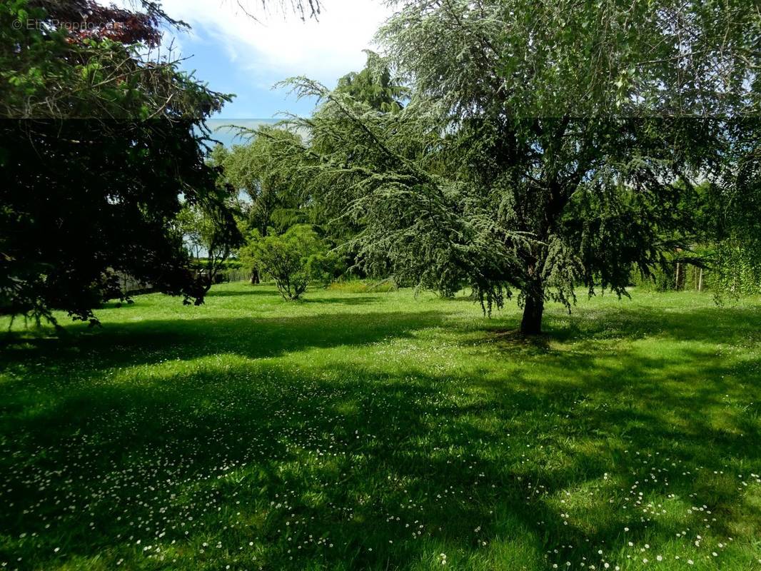 Terrain à SAINT-JULIEN-L&#039;ARS