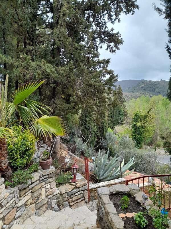 Maison à VILLENEUVE-LES-CORBIERES