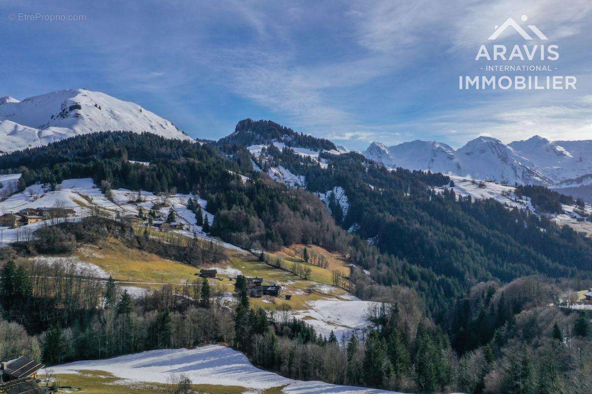 Terrain à LE GRAND-BORNAND